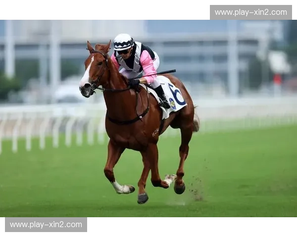 回放赛马：把握瞬间，重温刺激的马场传奇
